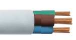 TP051